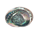 Abalone Shell, 5-6 Inches - Sacred Cleansing Bowl for Ritual Smoke + Intention Work