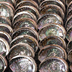 Abalone Shell, 5-6 Inches - Sacred Cleansing Bowl for Ritual Smoke + Intention Work