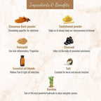 Soul Sticks AZTEC Plant Based Incense Sticks - Cinnamon