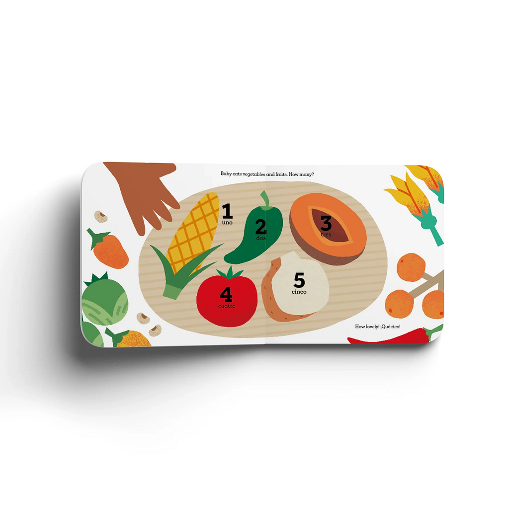 Baby Go! Mexico — A Bilingual Children’s Board Book (English & Spanish)