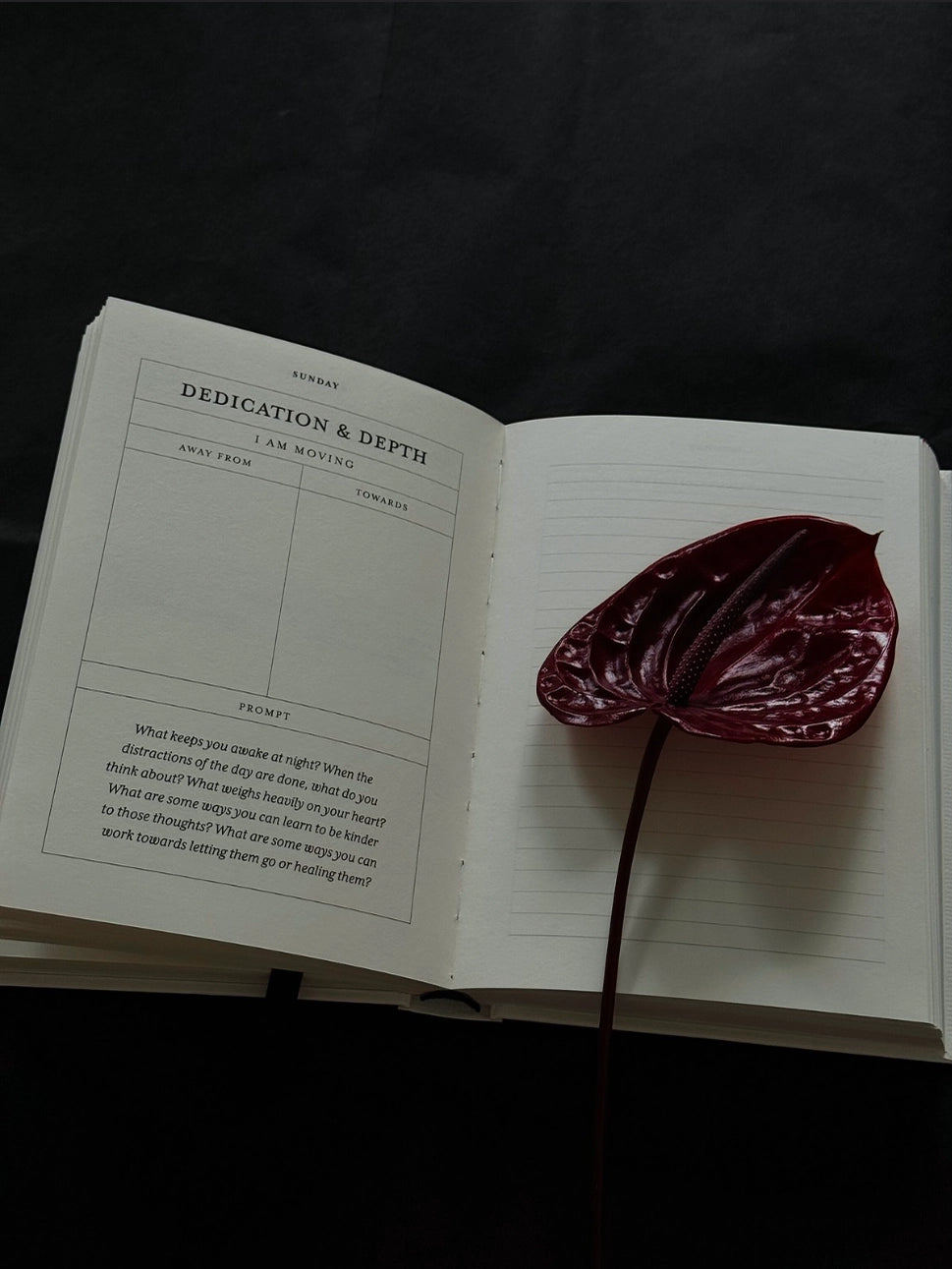 Open book with a dark red leaf on a black background