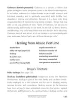 The Modern Art of Brujería by Lou Florez  A Modern Guide to Latin American Folk Magic, Spiritual Cleansing & Ancestral Practice