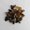 Chiapas Amber Tumbled Stones (10g) for Protection, Ancient Wisdom, Solar Energy