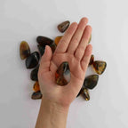 Chiapas Amber Tumbled Stones (10g) for Protection, Ancient Wisdom, Solar Energy