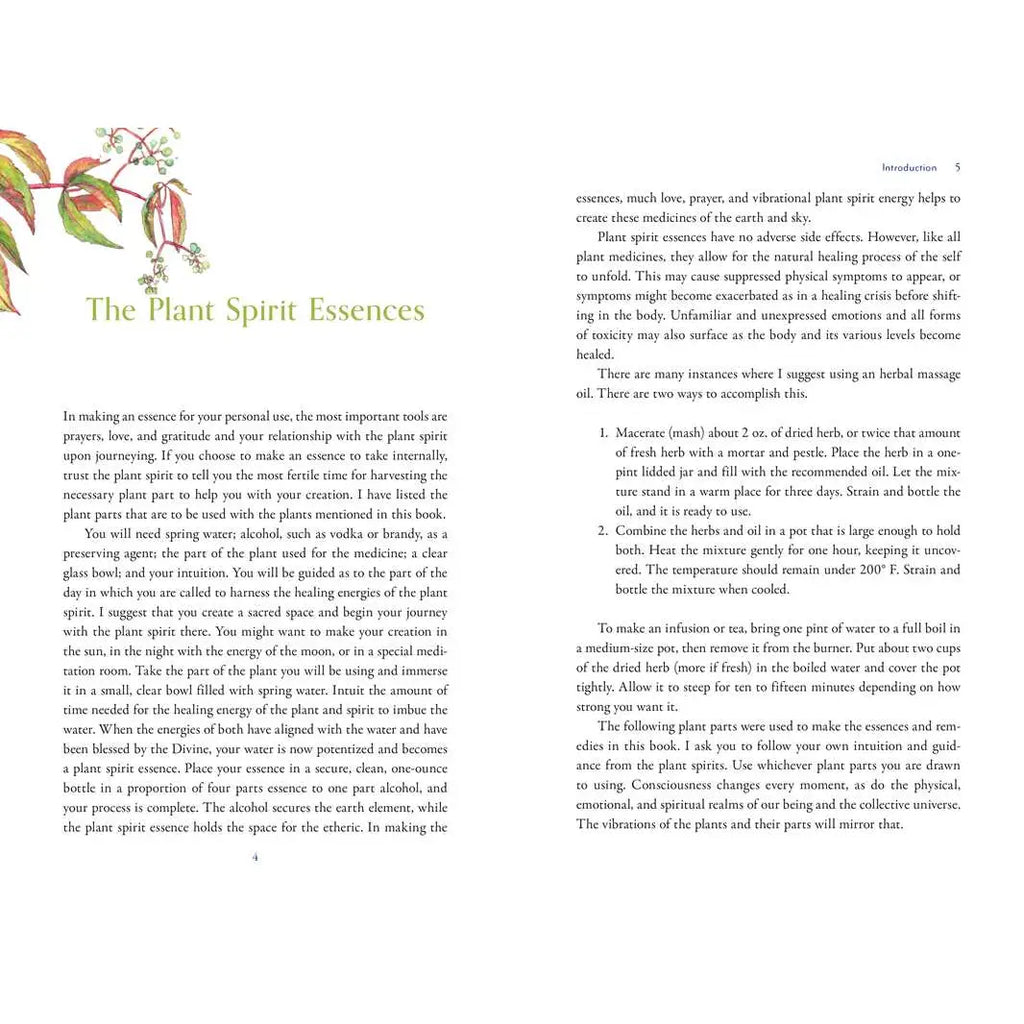 Divine Nature of Plants by Laura Aversano | Plant Spirit Medicine, Herbal Wisdom & Energetic Healing
