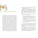 Divine Nature of Plants by Laura Aversano | Plant Spirit Medicine, Herbal Wisdom & Energetic Healing