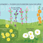 My First 100 Plantitas & Florecitas Words (Bilingual English & Spanish)--A Bilingual Board Book Featuring 100 Plants, Flowers & Nature Words for Little Learners