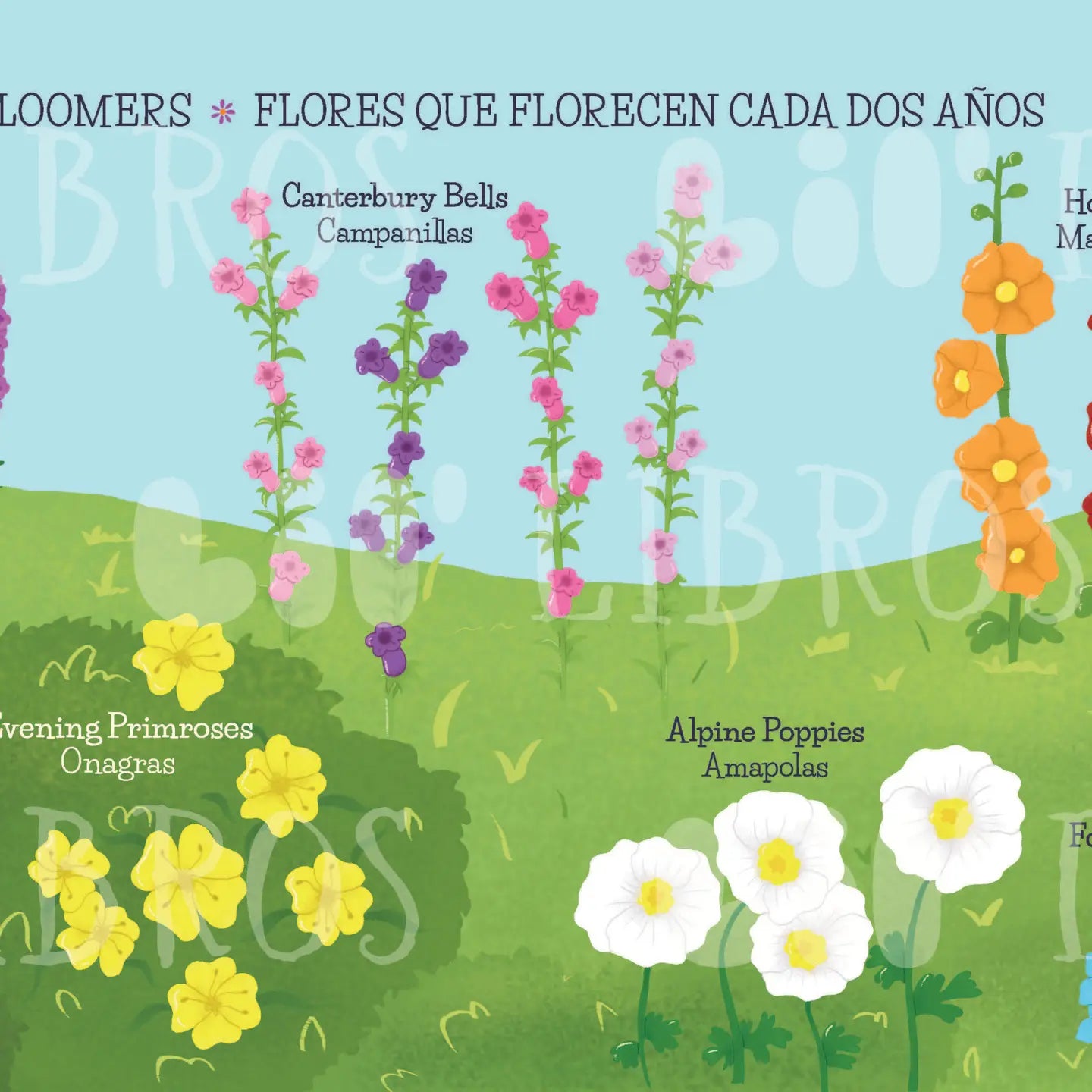 My First 100 Plantitas & Florecitas Words (Bilingual English & Spanish)--A Bilingual Board Book Featuring 100 Plants, Flowers & Nature Words for Little Learners