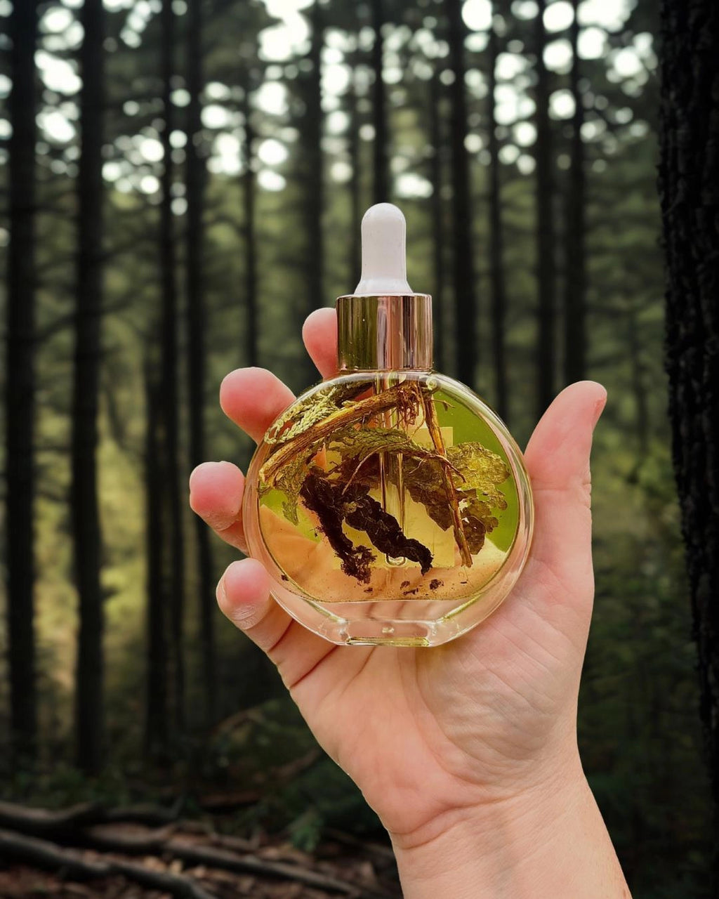 Grounding Ritual Oil 2 oz — Root Chakra Anointing Blend