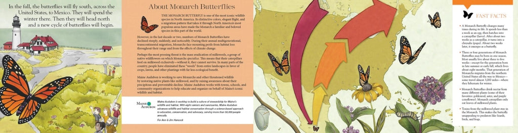 A Monarch Butterfly Story—An Inspiring Children’s Board Book About Monarch Butterflies, Nature & Conservation