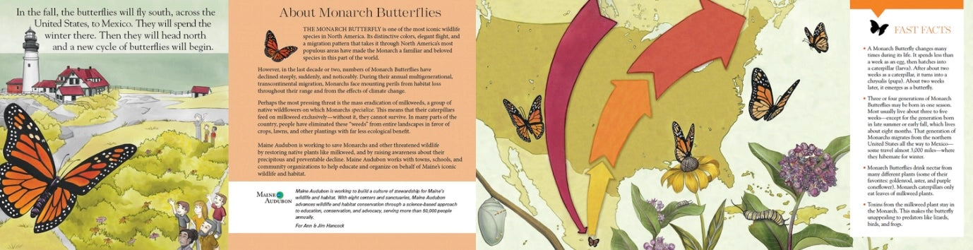 A Monarch Butterfly Story—An Inspiring Children’s Board Book About Monarch Butterflies, Nature & Conservation