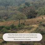 Premium Ecuadorian Palo Santo Smudging Sticks - Set of 8