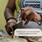 Premium Ecuadorian Palo Santo Smudging Sticks - Set of 8