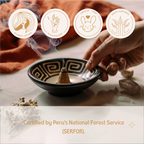 Premium Peruvian Palo Santo Incense Cones - Box of 10