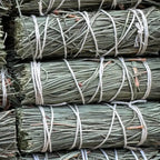 Pine Herb Wand - 4" Wand for Cleansing, Grounding, Protection