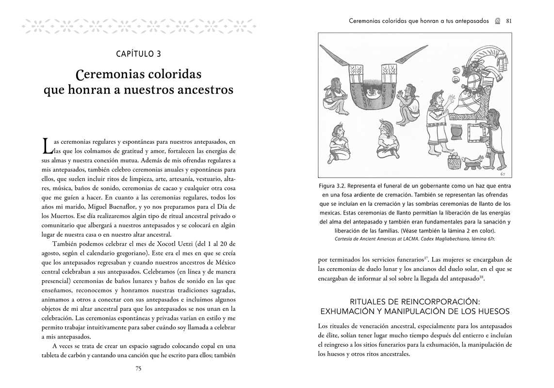 Ritos de Veneración del Curanderismo por Erika Buenaflor | Libro en Español sobre Ancestros, Altares y Sanación Ancestral