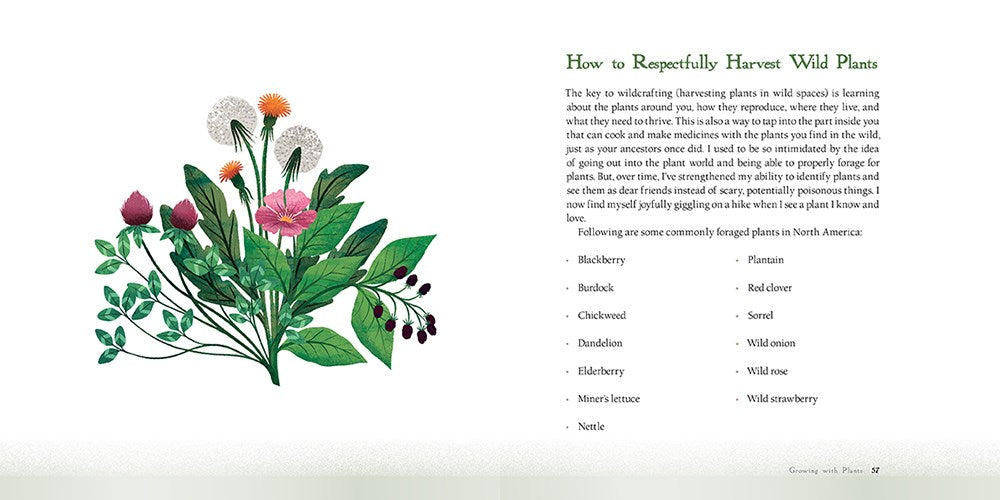 Root and Ritual: Connect To Land, Lineage, Community, & Self