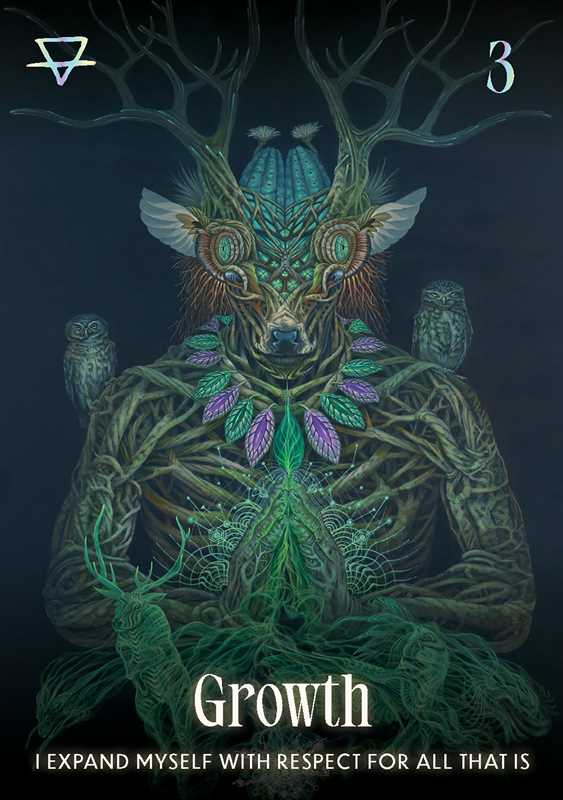 Shamanic Oracle Deck by Luis & Magali Tamani | Indigenous Peruvian Spirituality & Nature Oracle Cards