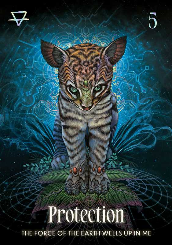 Shamanic Oracle Deck by Luis & Magali Tamani | Indigenous Peruvian Spirituality & Nature Oracle Cards