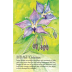 A Borage card featuring a watercolor illustration of purple borage flowers with green leaves on a yellow-green background, with the text 'BORAGE Optimism' and a short quote below.