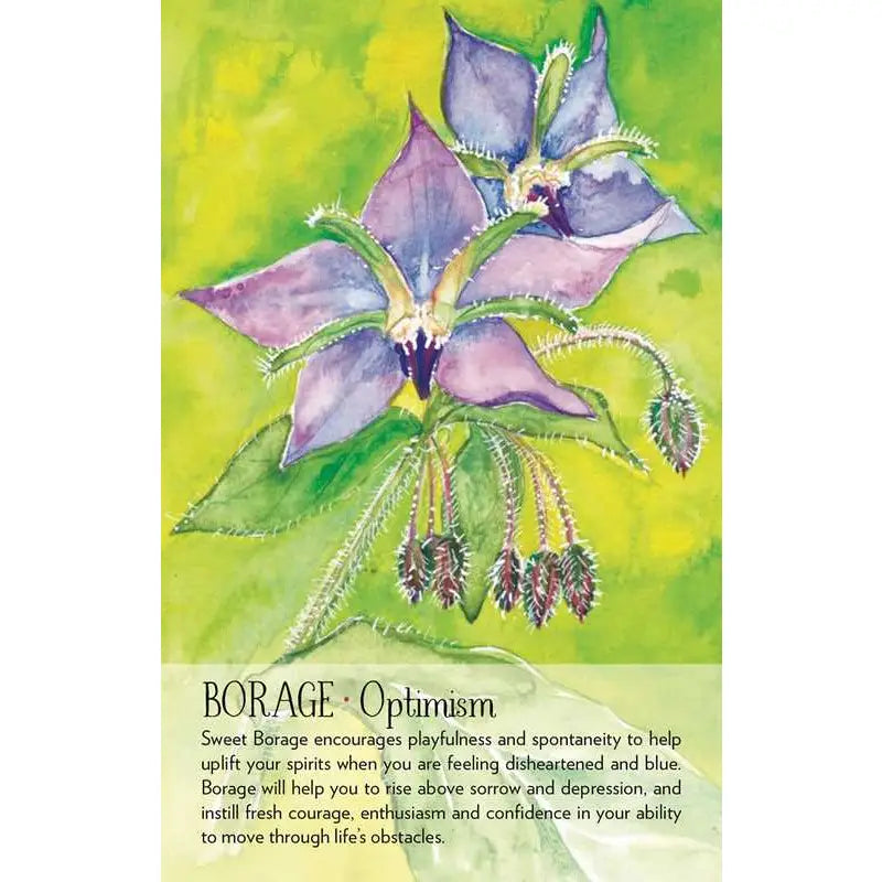 A Borage card featuring a watercolor illustration of purple borage flowers with green leaves on a yellow-green background, with the text 'BORAGE Optimism' and a short quote below.