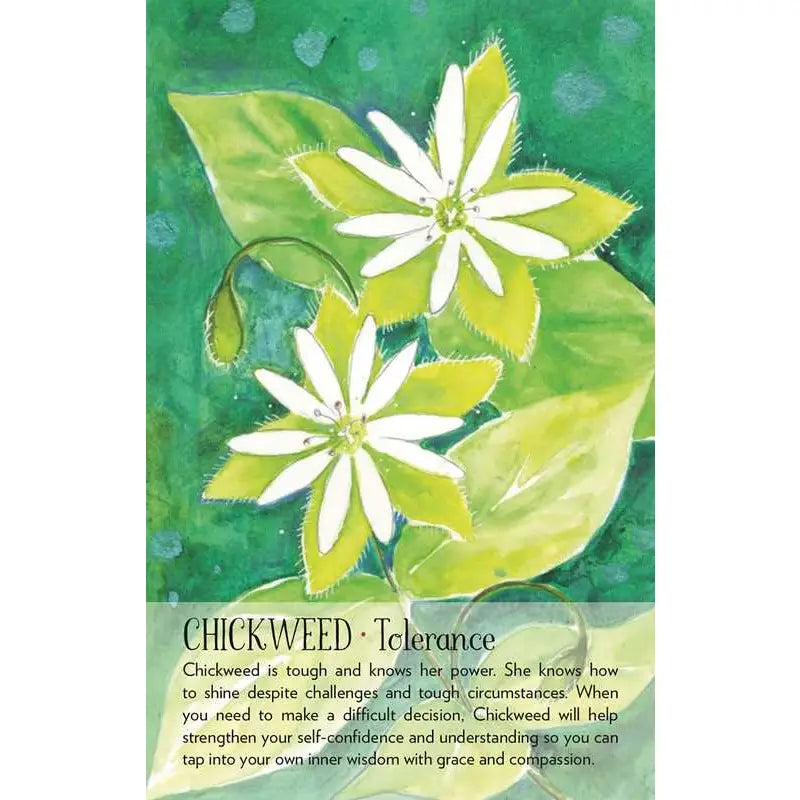 A square art print or card featuring a painted cluster of white chickweed flowers with green leaves on a textured green background, with the text 'CHICKWEED • Tolerance' and a short quote below.