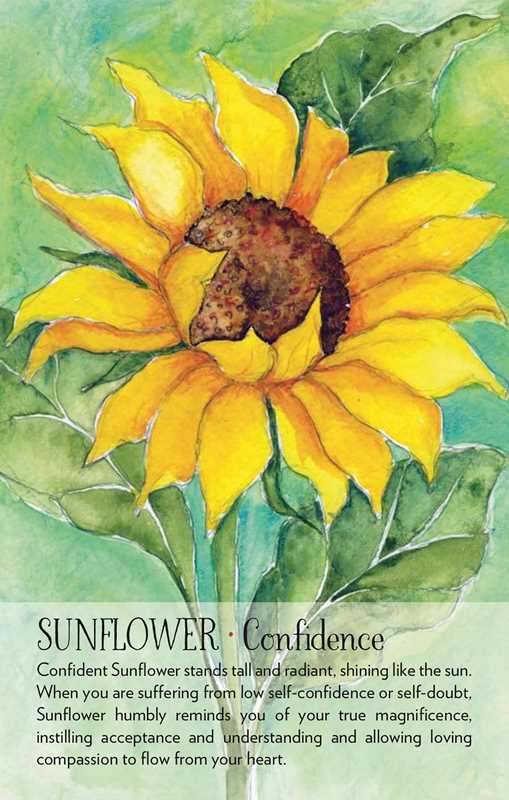 Illustration of a sunflower with a mouse on it, set against a green background.