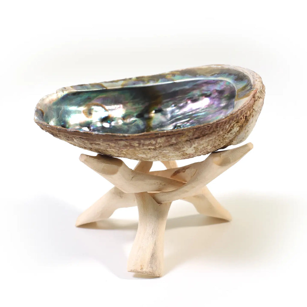 Natural Eucalyptus Wood Tripod Stand — 6” Smoke Cleansing Holder (Fits 5–7” Abalone Shells)