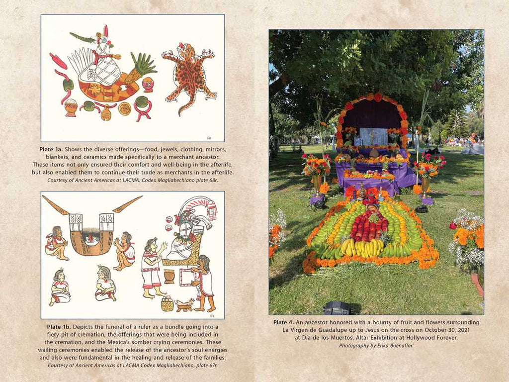 Book page with illustrations and a photograph of a floral display.