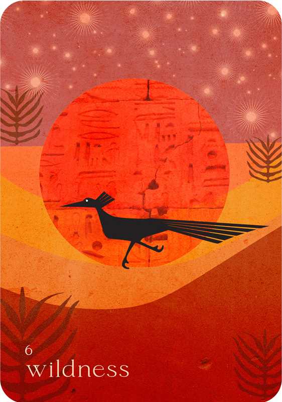 Wild Whispers Oracle: 44-Card Desert-Inspired Oracle Deck by Nat Girsberger
